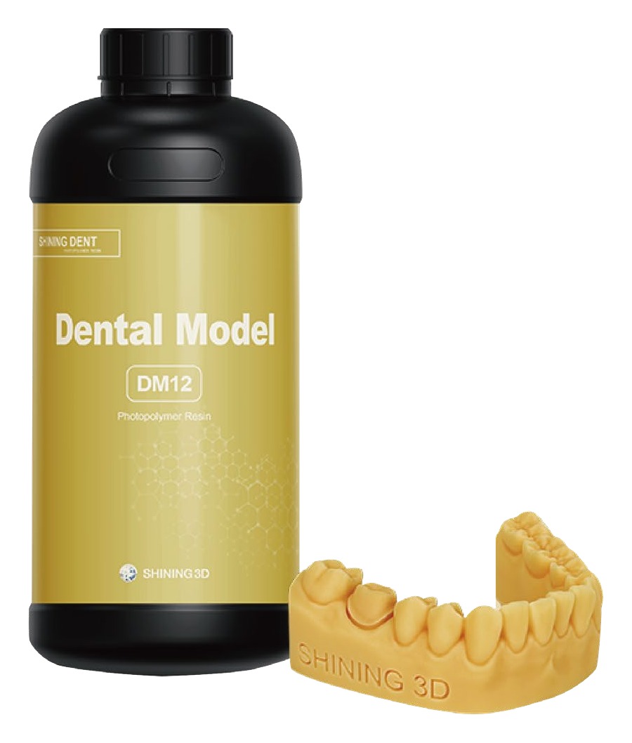 DM12 — Implant Model